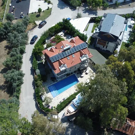 Ay Gocek גוג'ק