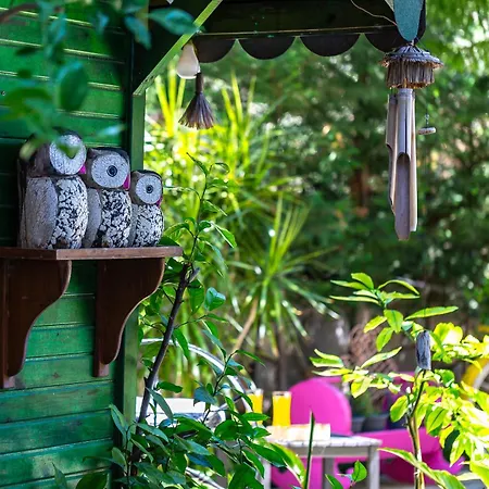 לינה וארוחת בוקר Ay Gocek 3*